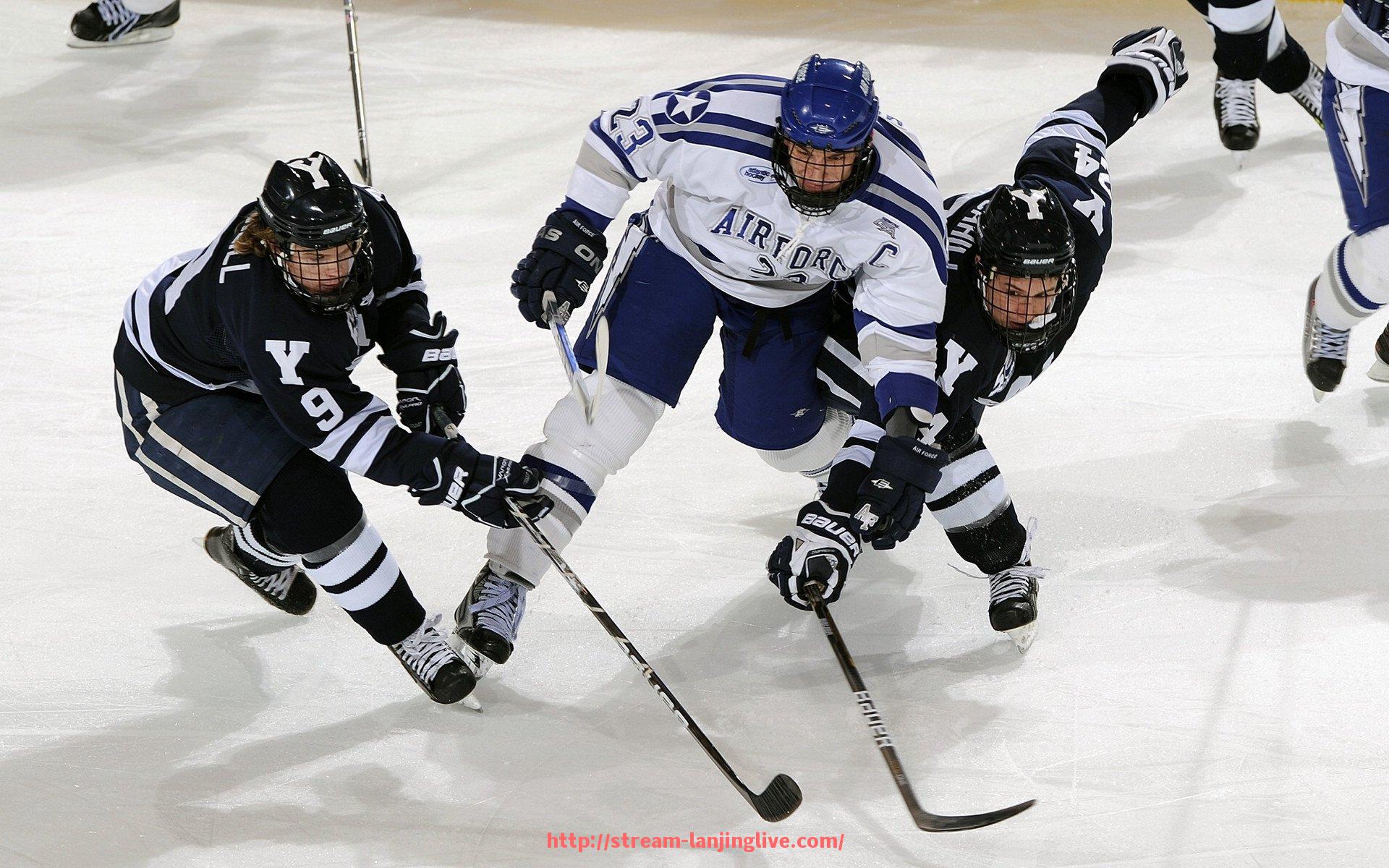 蓝鲸体育直播-世俱杯赛事观众统计数据详解